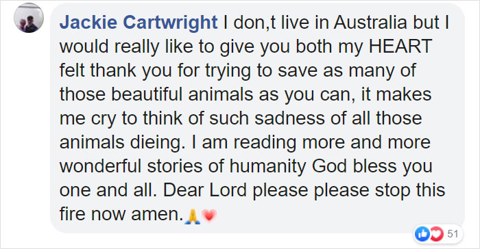 Australian Teens Save As Many Koalas As They Can By Driving Around And Searching For All The Live Ones