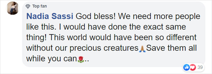 Australian Teens Save As Many Koalas As They Can By Driving Around And Searching For All The Live Ones Australian Teens Save As Many Koalas As They Can By Driving Around And Searching For All The Live Ones