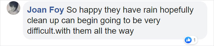 Thirsty Adorable Koala Comes Out For A Drink On The Road, Driver-By Stops To Help & Posts A Warning Online