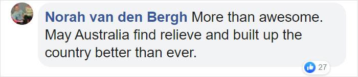 Thirsty Adorable Koala Comes Out For A Drink On The Road, Driver-By Stops To Help & Posts A Warning Online