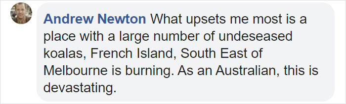 Thirsty Adorable Koala Comes Out For A Drink On The Road, Driver-By Stops To Help & Posts A Warning Online Thirsty Adorable Koala Comes Out For A Drink On The Road, Driver-By Stops To Help & Posts A Warning Online