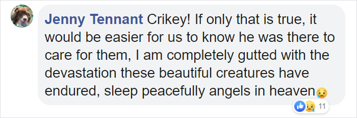 People Are Tearing Up Over This Cartoon Of Steve Irwin Welcoming Animals Killed In The Australian Bushfires People Are Tearing Up Over This Cartoon Of Steve Irwin Welcoming Animals Killed In The Australian Bushfires