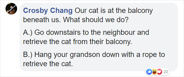 Grandma Goes Mission Impossible While Dangling A 7 Y.O. From The 5th Floor to Rescue Her Cat Grandma Goes Mission Impossible While Dangling A 7 Y.O. From The 5th Floor to Rescue Her Cat