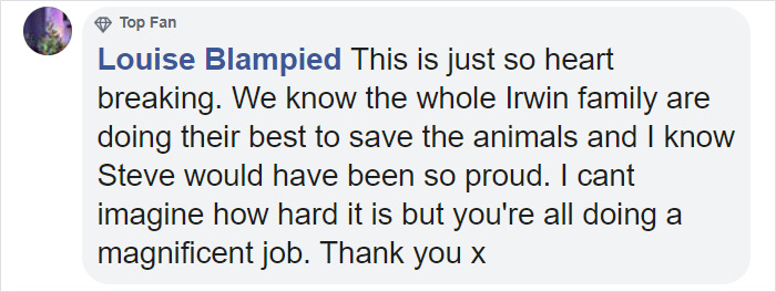 Robert Irwin Struggles To Hold Back Tears While Discussing The Impact Of The Australian Bushfires Robert Irwin Struggles To Hold Back Tears While Discussing The Impact Of The Australian Bushfires
