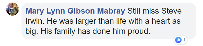 People Are Tearing Up Over This Cartoon Of Steve Irwin Welcoming Animals Killed In The Australian Bushfires People Are Tearing Up Over This Cartoon Of Steve Irwin Welcoming Animals Killed In The Australian Bushfires