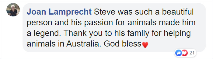 People Are Tearing Up Over This Cartoon Of Steve Irwin Welcoming Animals Killed In The Australian Bushfires People Are Tearing Up Over This Cartoon Of Steve Irwin Welcoming Animals Killed In The Australian Bushfires