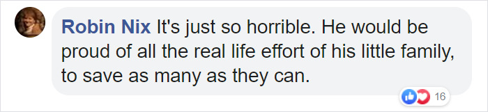 People Are Tearing Up Over This Cartoon Of Steve Irwin Welcoming Animals Killed In The Australian Bushfires