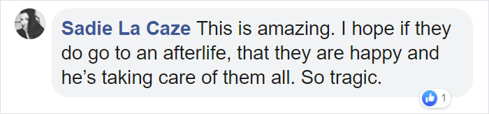 People Are Tearing Up Over This Cartoon Of Steve Irwin Welcoming Animals Killed In The Australian Bushfires