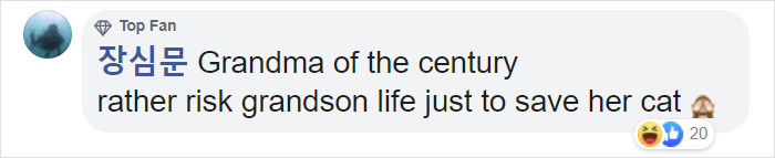 Grandma Goes Mission Impossible While Dangling A 7 Y.O. From The 5th Floor to Rescue Her Cat Grandma Goes Mission Impossible While Dangling A 7 Y.O. From The 5th Floor to Rescue Her Cat