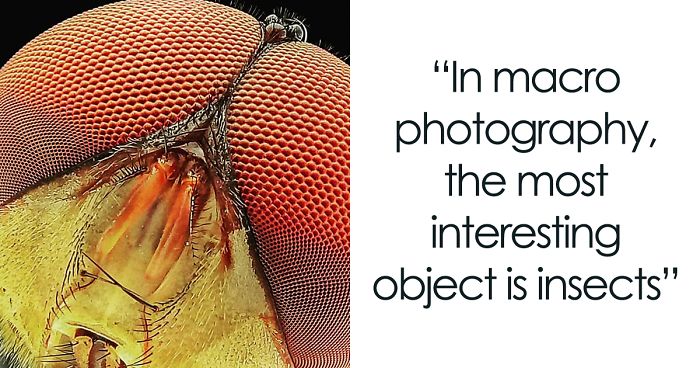 I’m A Macro Photography Enthusiast, And I Take Photos With A Phone And DIY Lenses (57 Pics)