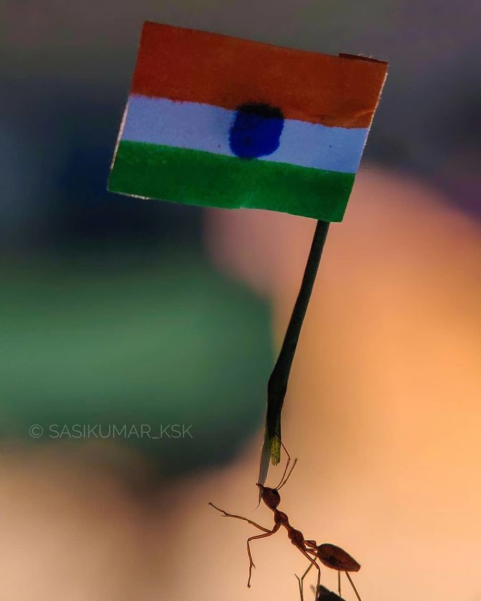 Macro-Smartphone-Photos-Indian-Photographer-Sasi-Kumar