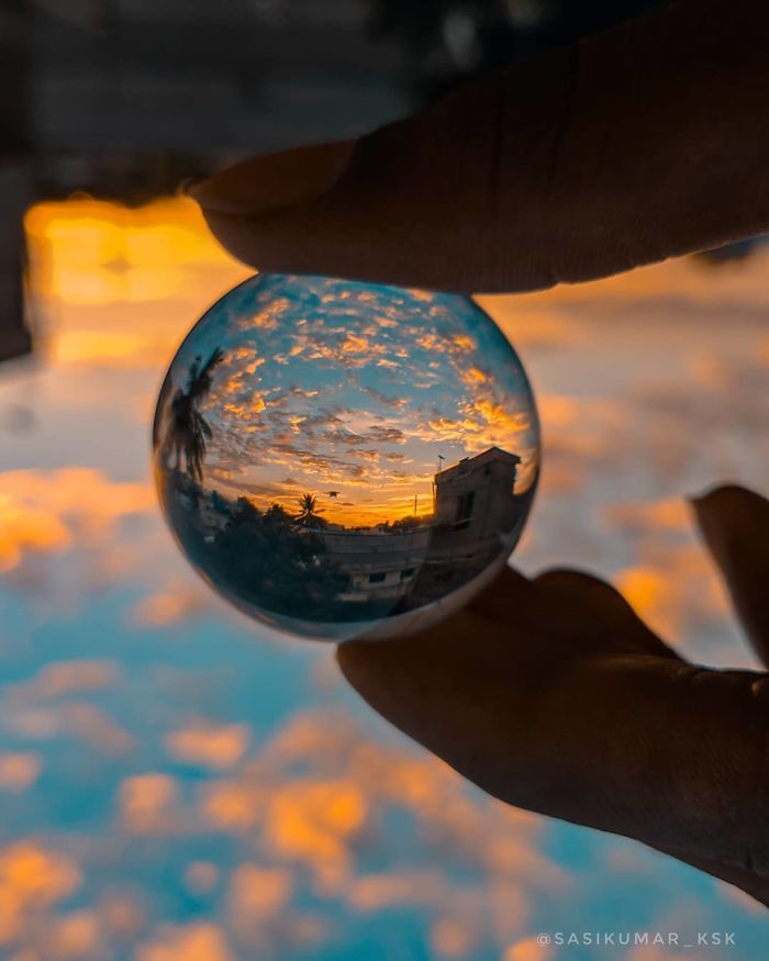 Macro-Smartphone-Photos-Indian-Photographer-Sasi-Kumar