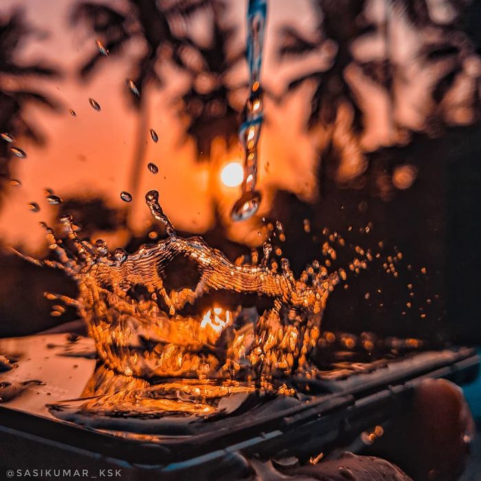 Macro-Smartphone-Photos-Indian-Photographer-Sasi-Kumar