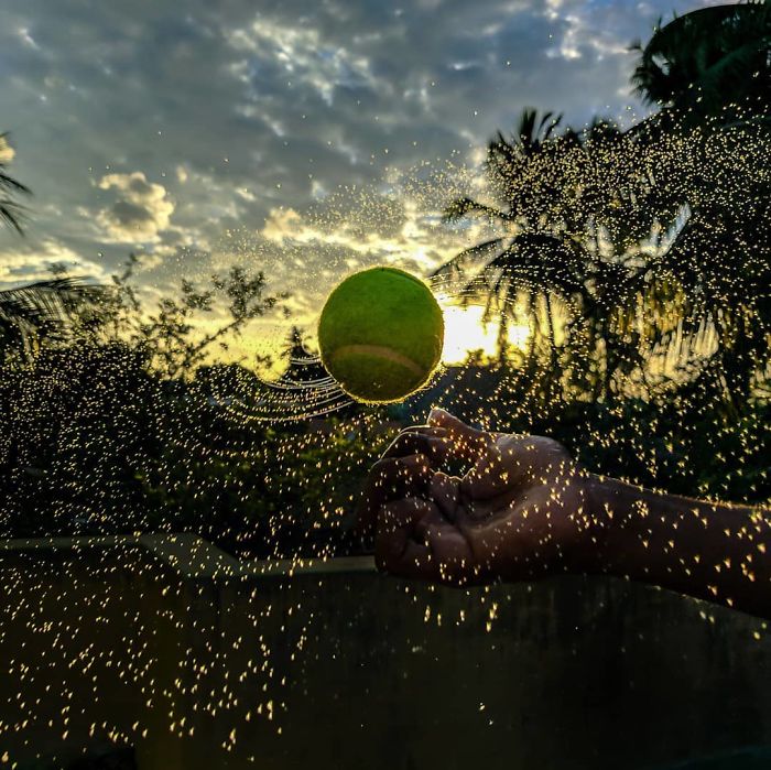 Macro-Smartphone-Photos-Indian-Photographer-Sasi-Kumar