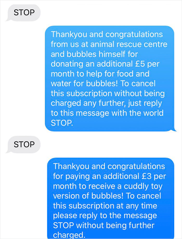 Girl Decides To Prank This Guy Who Gave Her His Number By Texting Him That He'd Just Adopted A Chimp