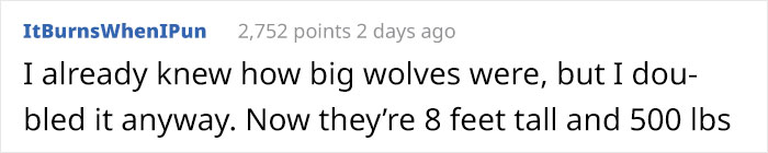 Someone Who Got To Know Wolves Lists The Things We Might Not Know About Them