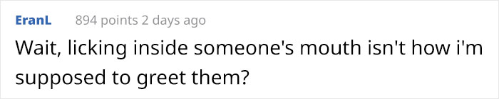 Someone Who Got To Know Wolves Lists The Things We Might Not Know About Them Someone Who Got To Know Wolves Lists The Things We Might Not Know About Them