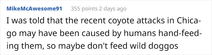 Someone Who Got To Know Wolves Lists The Things We Might Not Know About Them Someone Who Got To Know Wolves Lists The Things We Might Not Know About Them