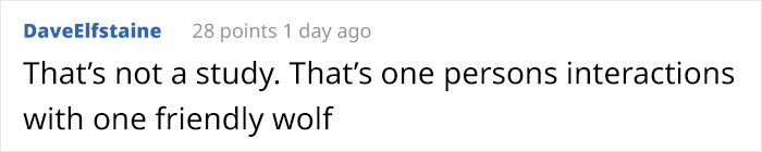 Someone Who Got To Know Wolves Lists The Things We Might Not Know About Them Someone Who Got To Know Wolves Lists The Things We Might Not Know About Them