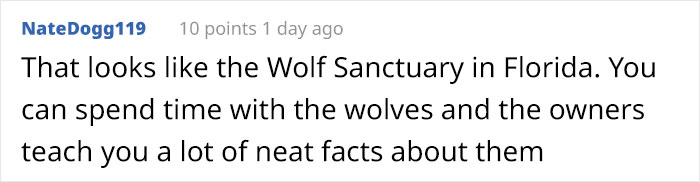 Someone Who Got To Know Wolves Lists The Things We Might Not Know About Them Someone Who Got To Know Wolves Lists The Things We Might Not Know About Them
