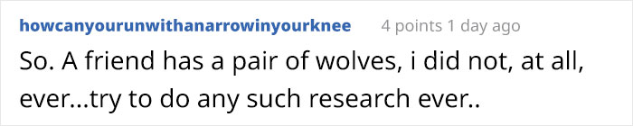 Someone Who Got To Know Wolves Lists The Things We Might Not Know About Them Someone Who Got To Know Wolves Lists The Things We Might Not Know About Them