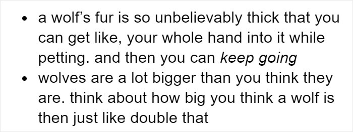 Someone Who Got To Know Wolves Lists The Things We Might Not Know About Them Someone Who Got To Know Wolves Lists The Things We Might Not Know About Them
