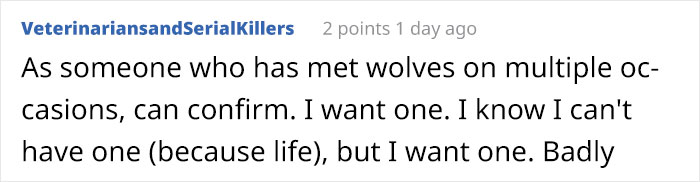 Someone Who Got To Know Wolves Lists The Things We Might Not Know About Them