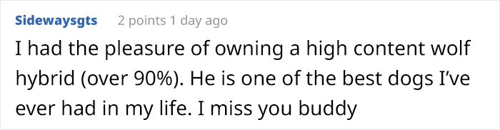 Someone Who Got To Know Wolves Lists The Things We Might Not Know About Them Someone Who Got To Know Wolves Lists The Things We Might Not Know About Them