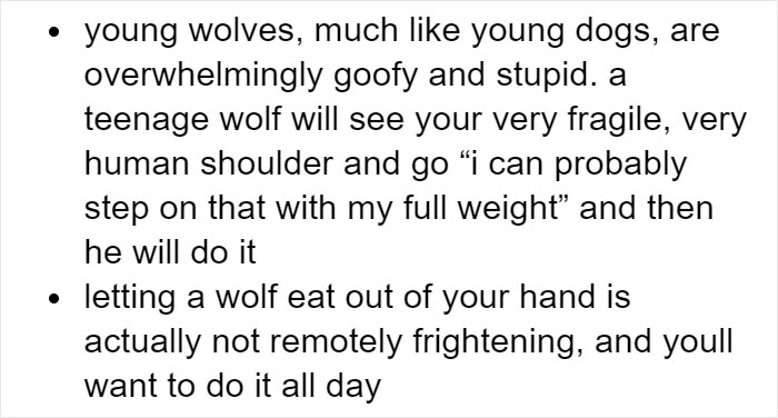 Someone Who Got To Know Wolves Lists The Things We Might Not Know About Them