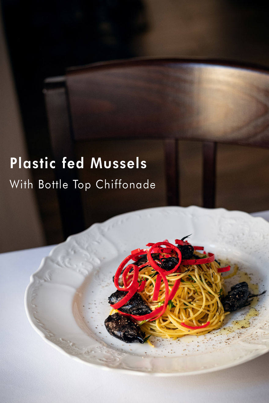 I Help You Visualize The Destruction Of The Environment On A Plate (8 Pics) I Help You Visualize The Destruction Of The Environment On A Plate (8 Pics)