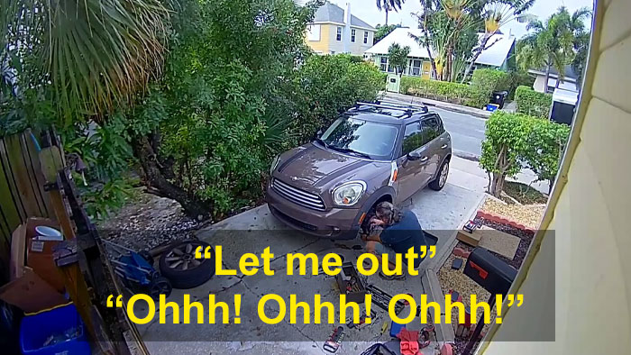 Man Has 4 Cops Show Up To His House Because His Parrot Screaming 'Let Me Out' Sounds Like A Woman