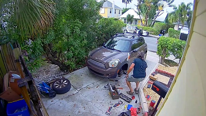 Man Has 4 Cops Show Up To His House Because His Parrot Screaming 'Let Me Out' Sounds Like A Woman Man Has 4 Cops Show Up To His House Because His Parrot Screaming 'Let Me Out' Sounds Like A Woman