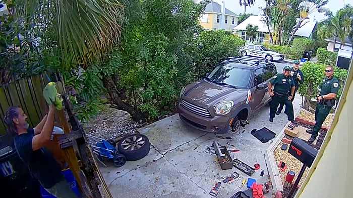 Man Has 4 Cops Show Up To His House Because His Parrot Screaming 'Let Me Out' Sounds Like A Woman Man Has 4 Cops Show Up To His House Because His Parrot Screaming 'Let Me Out' Sounds Like A Woman