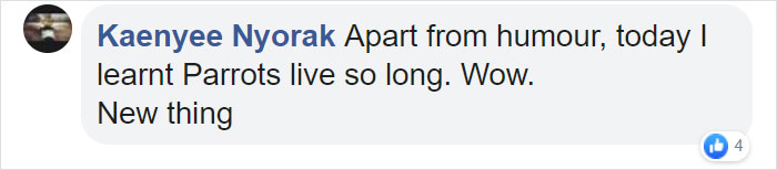 Man Has 4 Cops Show Up To His House Because His Parrot Screaming 'Let Me Out' Sounds Like A Woman Man Has 4 Cops Show Up To His House Because His Parrot Screaming 'Let Me Out' Sounds Like A Woman