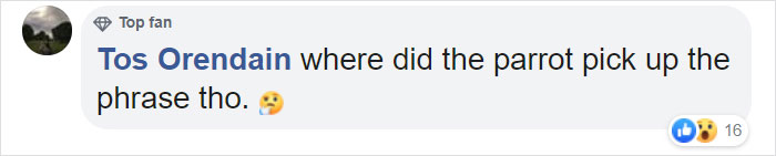 Man Has 4 Cops Show Up To His House Because His Parrot Screaming 'Let Me Out' Sounds Like A Woman Man Has 4 Cops Show Up To His House Because His Parrot Screaming 'Let Me Out' Sounds Like A Woman
