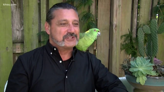 Man Has 4 Cops Show Up To His House Because His Parrot Screaming 'Let Me Out' Sounds Like A Woman Man Has 4 Cops Show Up To His House Because His Parrot Screaming 'Let Me Out' Sounds Like A Woman