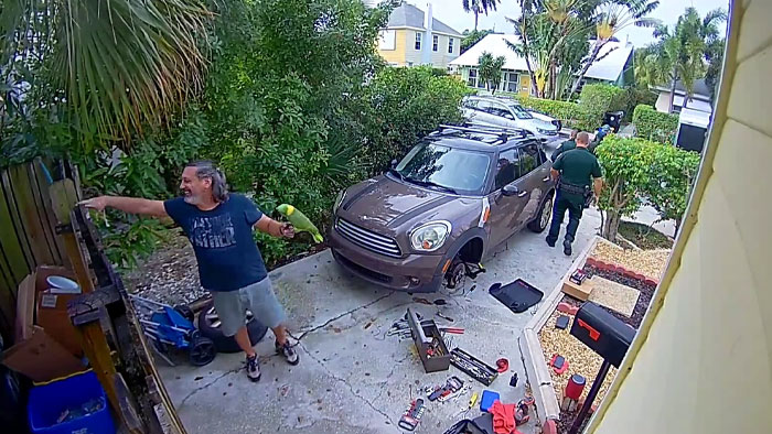 Man Has 4 Cops Show Up To His House Because His Parrot Screaming 'Let Me Out' Sounds Like A Woman Man Has 4 Cops Show Up To His House Because His Parrot Screaming 'Let Me Out' Sounds Like A Woman