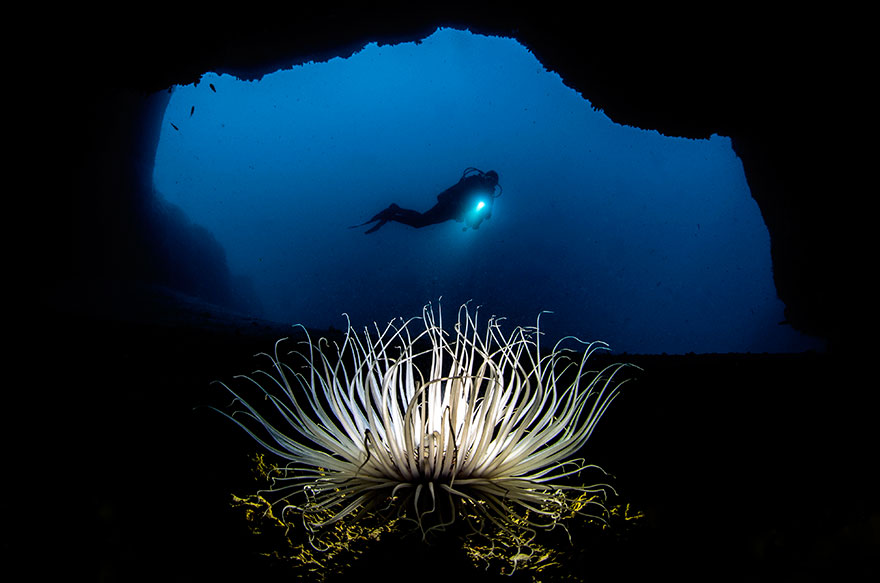 Honorable Mention - Alessandro Buzzicheli - Wide-Angle Category - "The Cave"