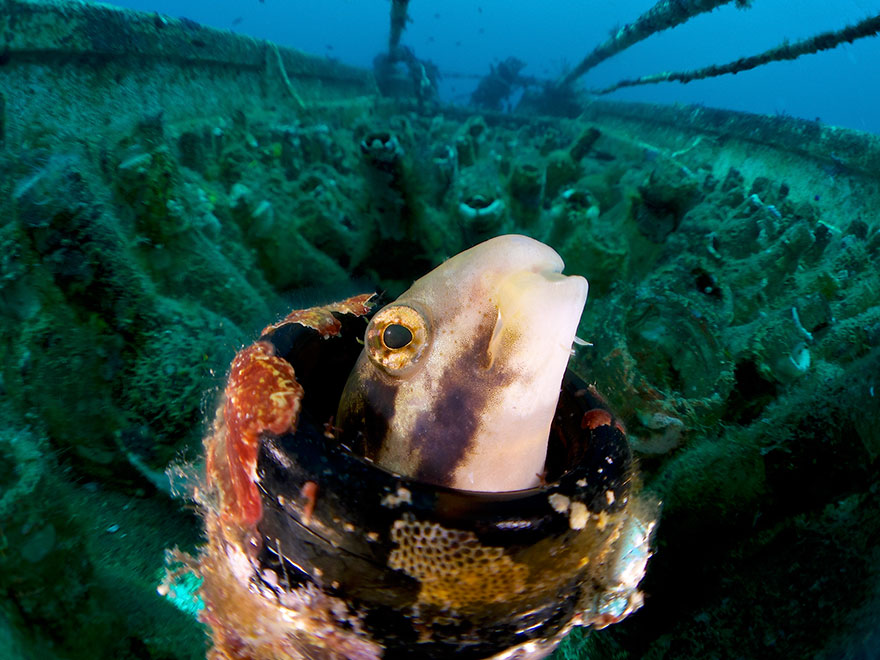 4th Place - Enrico Somogyi - Compact Wide Angle Category - "Boat Full Of Bottles"