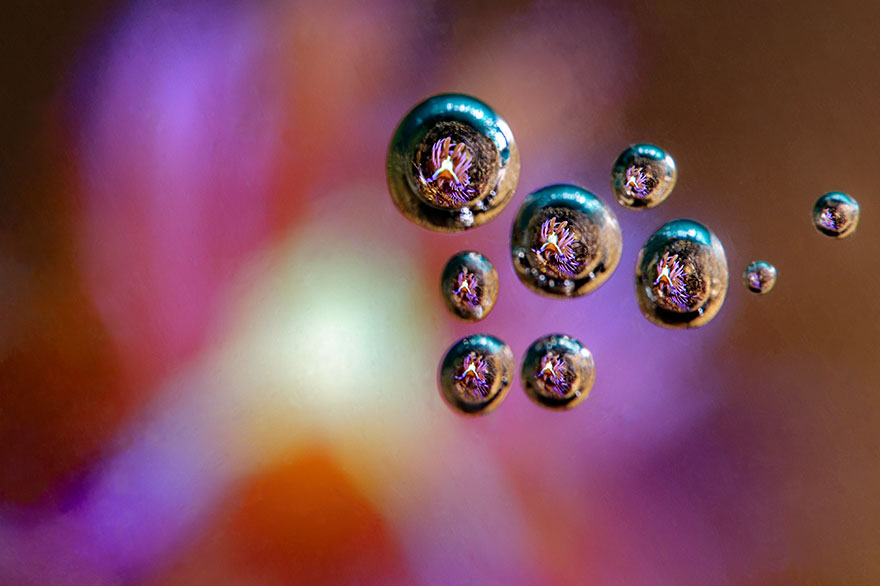 3rd Place - Jenny Stock - Underwater Art Category - "Bubble Portrait"
