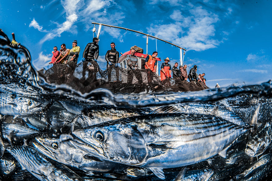 Honorable Mention - Rafael Fernandez Caballero - Conservation Category - "Both Worlds Of Fishing"