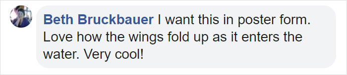 Photographer's Photos Of Ospreys In Hunting Mode Show How Calculated Everything In Nature Is