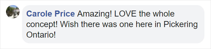 Kittens Roam Freely In This Bookstore In Canada And Customers Can Even Adopt Them Kittens Roam Freely In This Bookstore In Canada And Customers Can Even Adopt Them