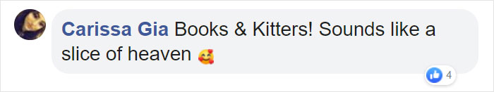 Kittens Roam Freely In This Bookstore In Canada And Customers Can Even Adopt Them Kittens Roam Freely In This Bookstore In Canada And Customers Can Even Adopt Them