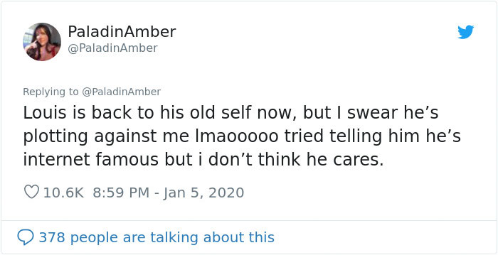 People Are Sharing Hilarious Stories About The Times They Thought Their Pets Were Dying