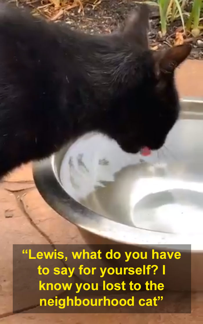 People Are Sharing Hilarious Stories About The Times They Thought Their Pets Were Dying People Are Sharing Hilarious Stories About The Times They Thought Their Pets Were Dying