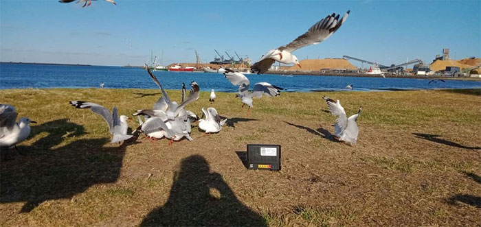 Kids Don't Want To Go On A Family Trip, So Their Parents Take Their Modem Instead Kids Don't Want To Go On A Family Trip, So Their Parents Take Their Modem Instead