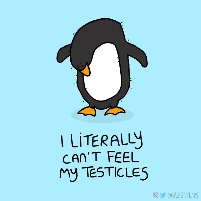 I Decided To Get Myself Out Of A Creative Rut This Year By Promising To Draw One Grumpy Animal Every Single Day