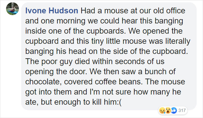 People Share Pics And Stories Of Pests They Saved Instead Of Killing People Share Pics And Stories Of Pests They Saved Instead Of Killing