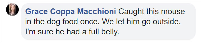 People Share Pics And Stories Of Pests They Saved Instead Of Killing